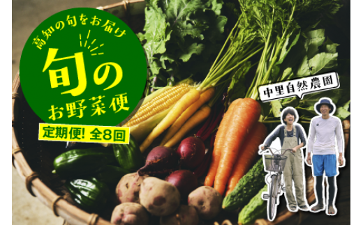 【定期便全8回】高知の旬をお届け「中里自然農園・旬のお野菜便」