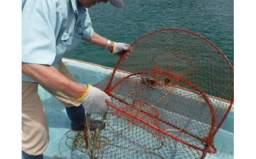 荳翫ヮ蜉豎滓シ∵クッ縺ョ貍∵・ュ菴馴ィ難シ医壹い繝√こ繝繝茨シ峨°縺疲シ 邯イ貍 蜥瑚飴菴馴ィ 譏シ鬟滉サ