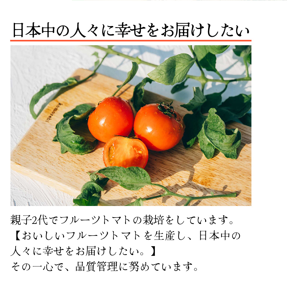 【3回定期便】フルーツトマト 原田農園 約1,800g 大箱（12月下旬～5月頃発送）＜2024年12月下旬頃より発送＞＜毎年12月上旬頃まで申込受付＞