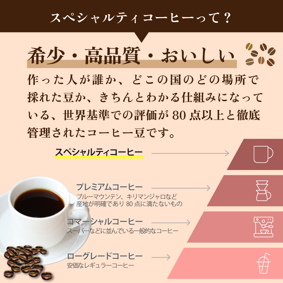 ＜中挽き＞　スペシャルティ コーヒー 豆 粉 選べる ブラジル インドネシア