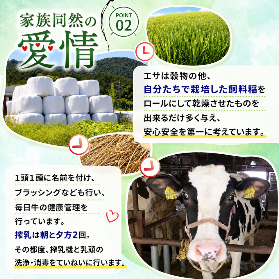 ＜吉本牛乳 （ さかわの地乳 ）1L × 合計30本 セット（隔週 5回発送 ／ 定期便）＞ 隔週届く 吉本乳業 高知県 佐川町 成分無調整 佐川町産生乳100％ 1000ml ぢちち NHKあさイチで紹介されました！