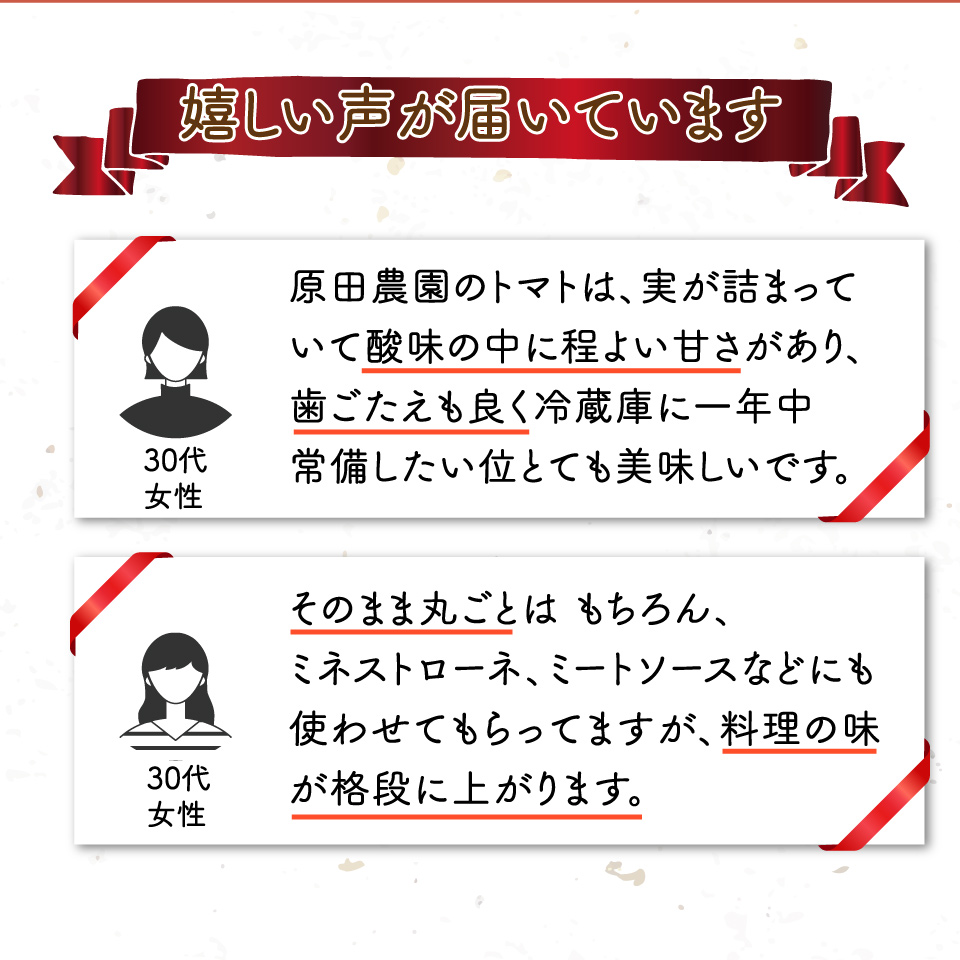 【3回定期便】フルーツトマト 原田農園 約1,800g 大箱（12月下旬～5月頃発送）＜2024年12月下旬頃より発送＞＜毎年12月上旬頃まで申込受付＞