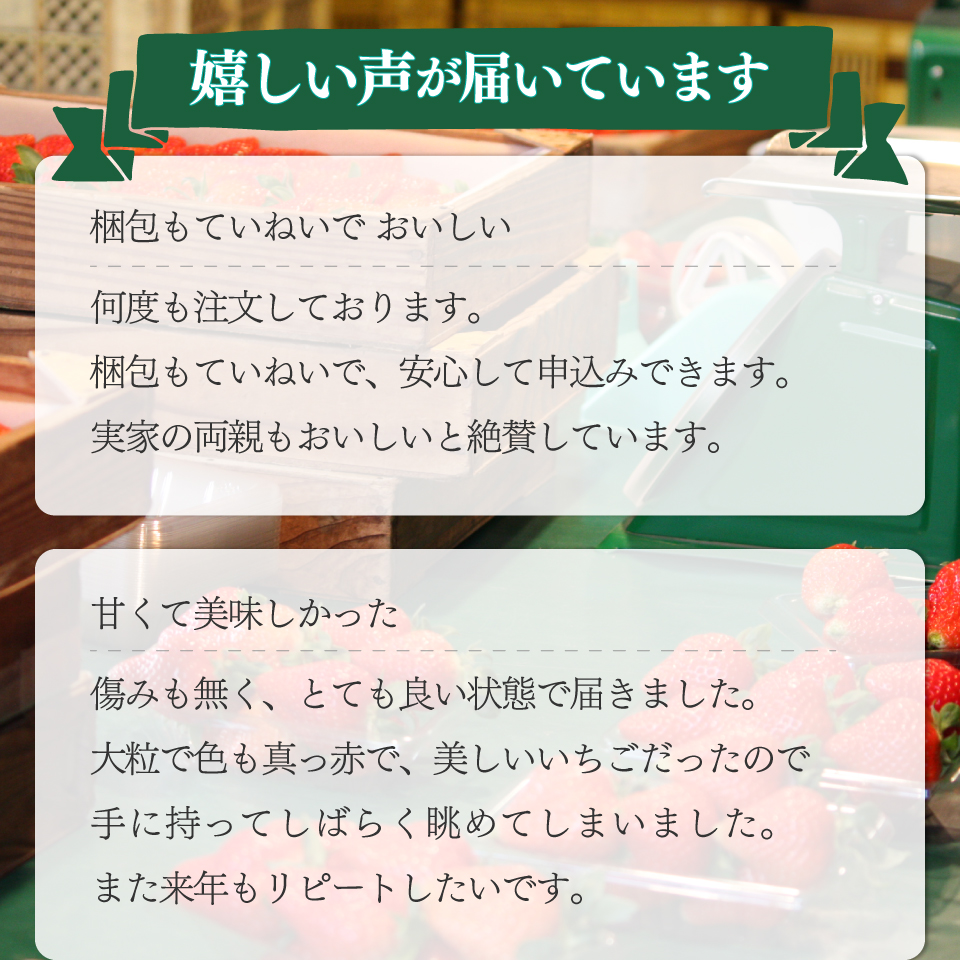 ＜2026年1月頃～3月頃発送（予定）＞【ゆめのか 285g×2パック】秀品 いちご イチゴ 苺 ストロベリー 贈答用 ギフト 佐川町産