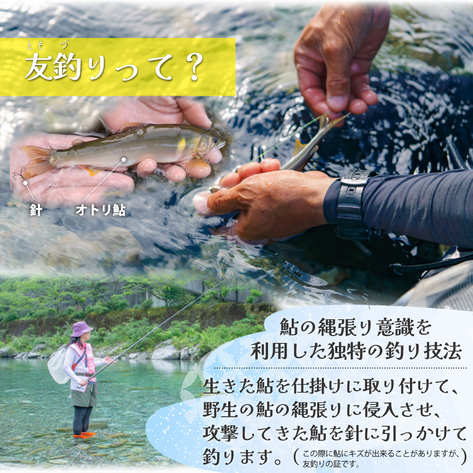 ＜鮎屋仁淀川の仁淀ブルー友釣あゆで作るパエリアセット ×２セット＞天然鮎 ミールキット 料理キット パエリア キャンプ飯 アウトドア 簡単調理 あゆ アユ 香魚 国産 高知県 佐川町 鮮度抜群 NIYODOBLUE