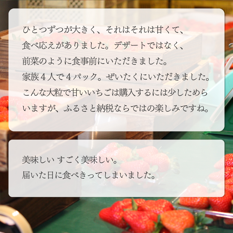 ＜2026年1月頃～3月頃発送（予定）＞【ゆめのか 285g×2パック】秀品 いちご イチゴ 苺 ストロベリー 贈答用 ギフト 佐川町産