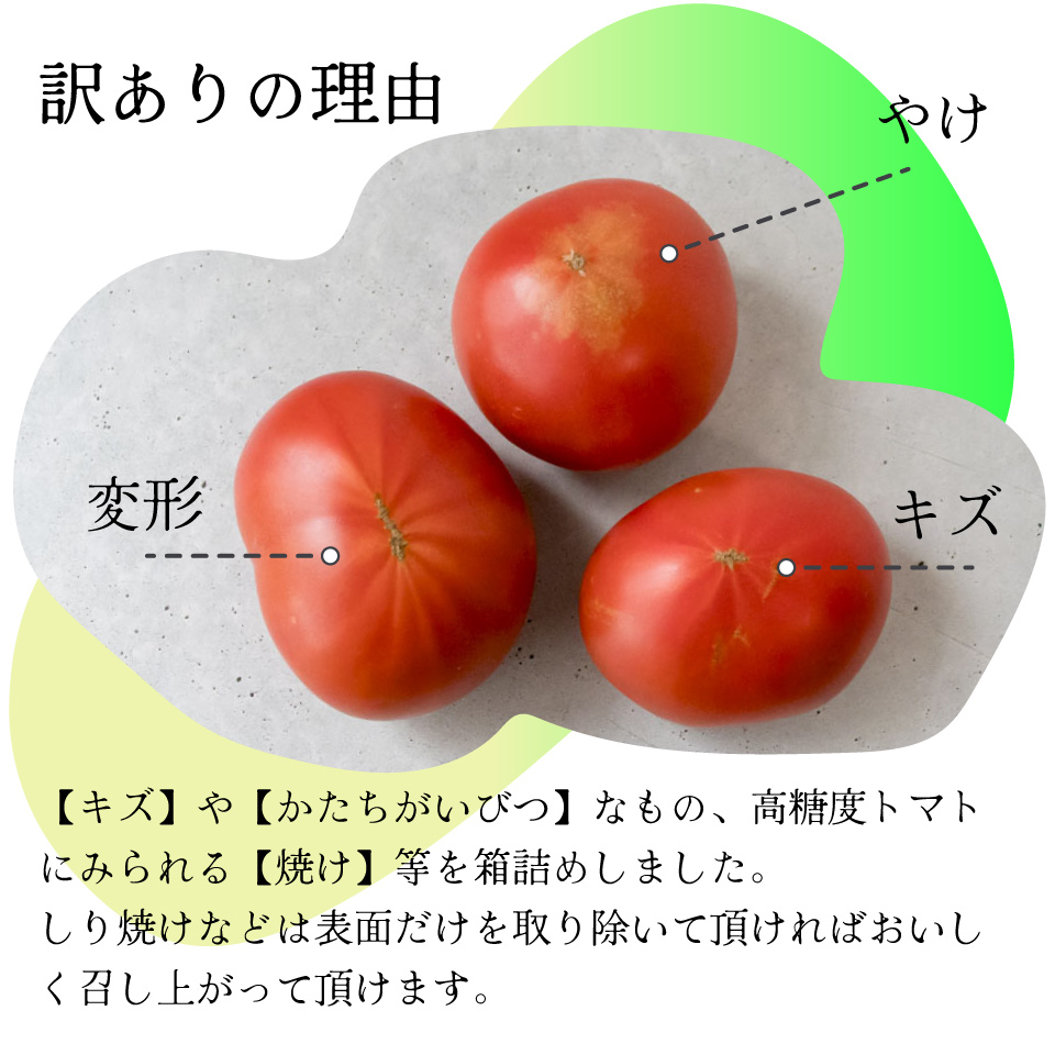 【5回定期便】 訳あり フルーツトマト 原田農園 1.8kg （12月下旬～5月頃発送）＜2024年12月下旬頃より発送＞＜毎年12月上旬頃まで申込受付＞