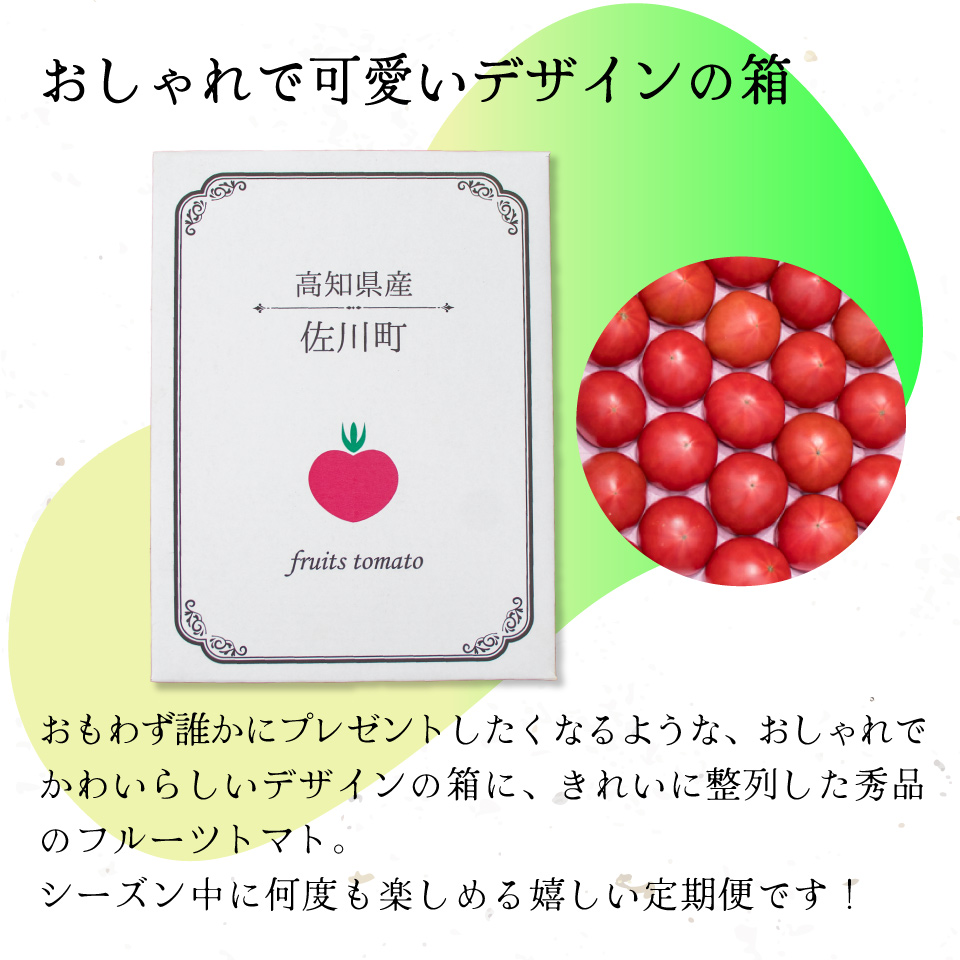 【5回定期便】フルーツトマト 原田農園 約1,800g 大箱（12月下旬～5月頃発送）＜2024年12月下旬頃より発送＞＜毎年12月上旬頃まで申込受付＞