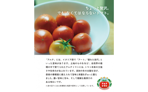 【1月～5月頃発送】＜アルテトマト 約1.6kg（20-35玉）＞ フルーツトマト 高知県 佐川町 トマトハウスナカムラ 野菜 贈答用　リピーター多数 高糖度 ギフト　栽培期間中化学農薬不使用