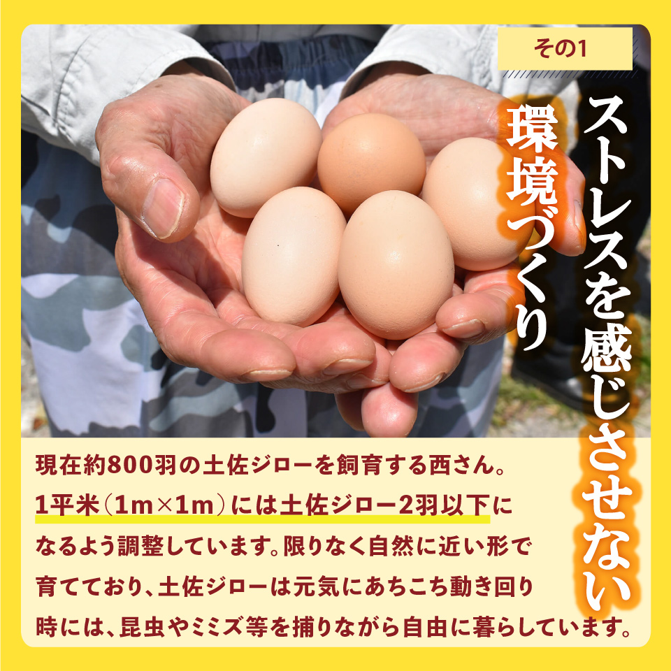 土佐ジローの卵 25個×3ヶ月連続 定期便 ＜10月～6月の間に発送＞