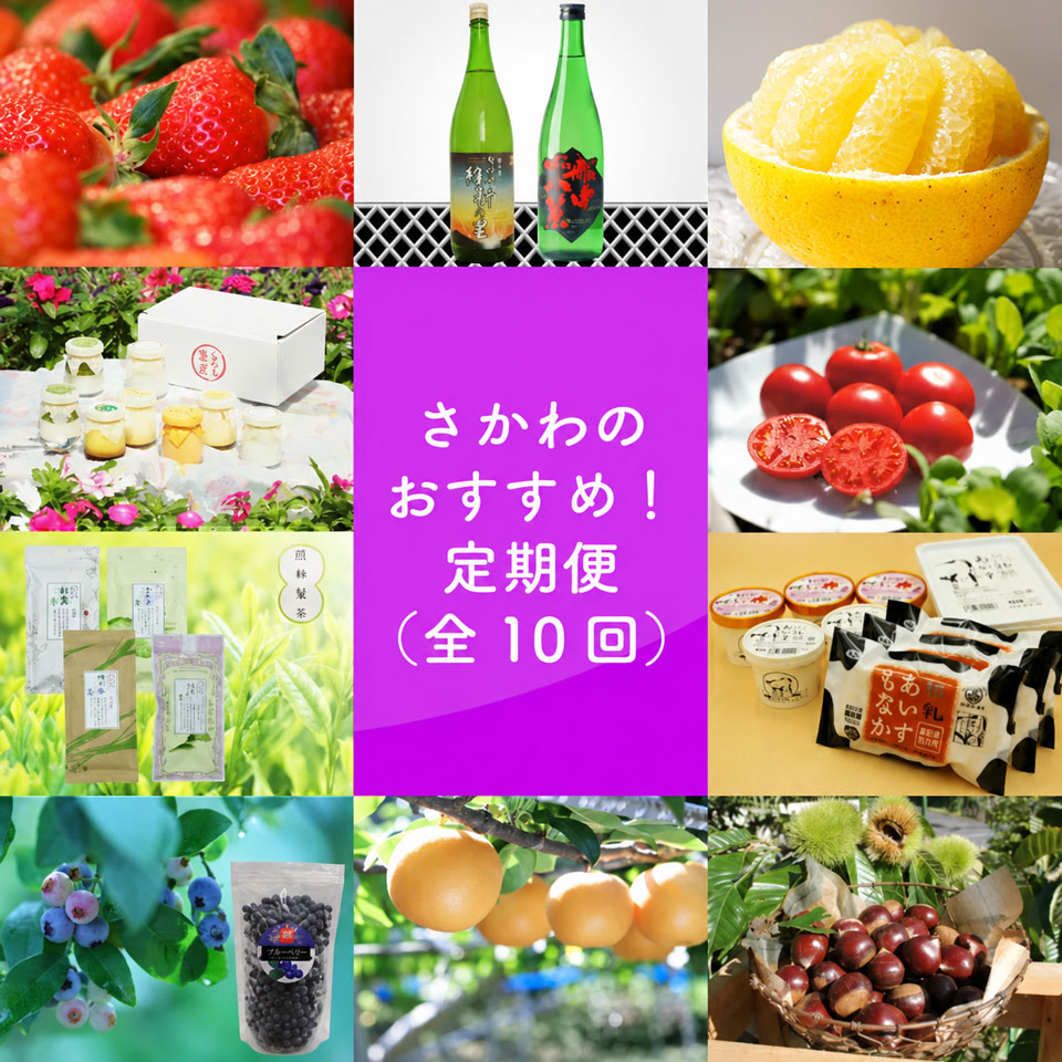 ＜佐川のおすすめ！定期便（全10回）＞ いちご 苺 文旦 日本酒 司牡丹酒造 フルーツトマト 煎茶 プリン 地乳 ぢちち アイス シャーベット 梨 新高梨 あきづき 栗 夢甘栗 高知県