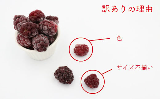 【訳あり・加工用】冷凍ブラックベリー2kg