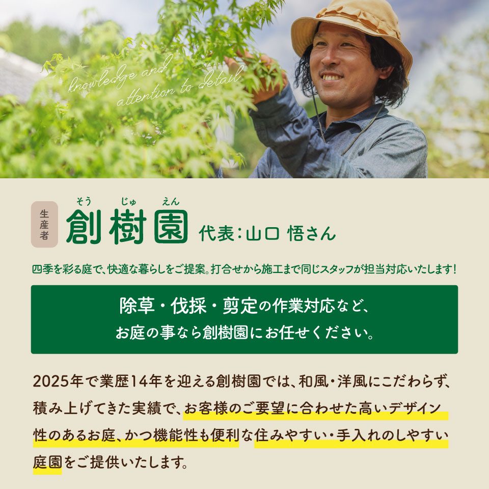 【庭のお手入れ　剪定・伐採・除草】庭づくり 庭木 植木 創樹園 管理 施工 サービス 作業場は佐川町限定 実家が佐川町にある方におすすめ