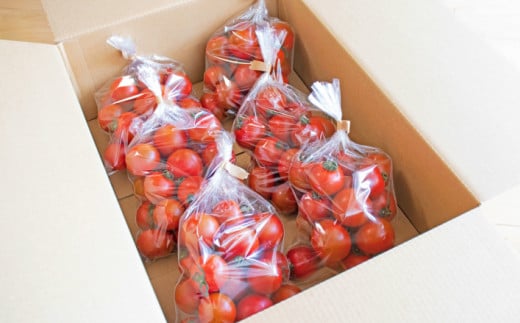 【12月〜8月頃発送】＜約2.4kg＞ 訳あり アイメック フルティカ トマト＞ましまファーム ミニトマト フルーツトマト 【常温】送料無料 ワケあり 規格外