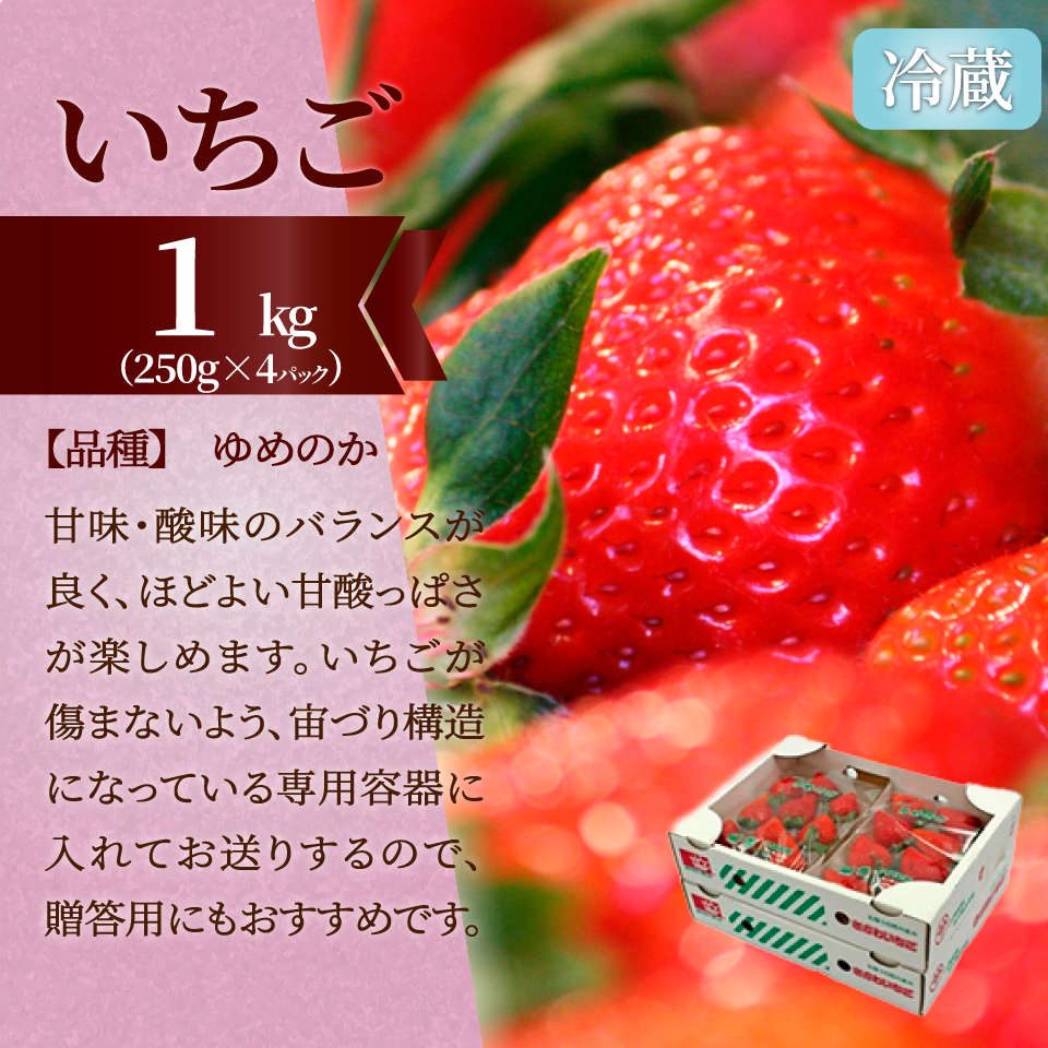【全３回】佐川町産フルーツ 定期便（いちご 文旦 梨）