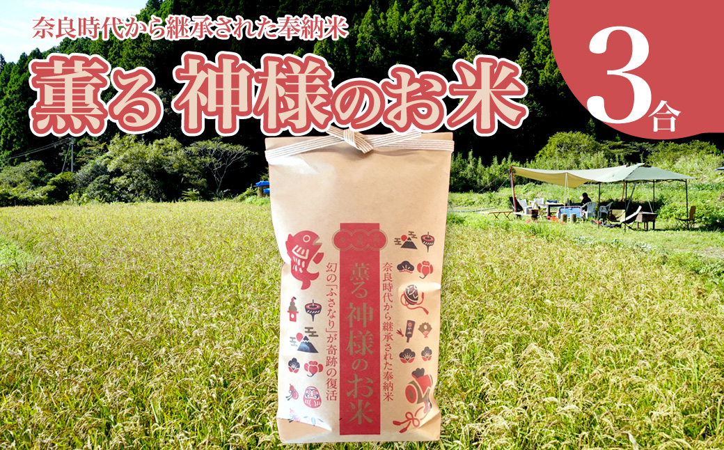 ＜薫る神様のお米 奉納米 縁起米 約3合×1袋＞希少米 香り米 奇跡の復活 ふさなり 栽培期間中、化学農薬化学肥料不使用