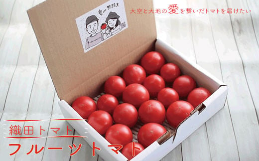 織田トマト フルーツトマト 約1kg 高知 真っ赤なフルーツ太陽　＜毎年1月頃～５月頃まで発送＞
