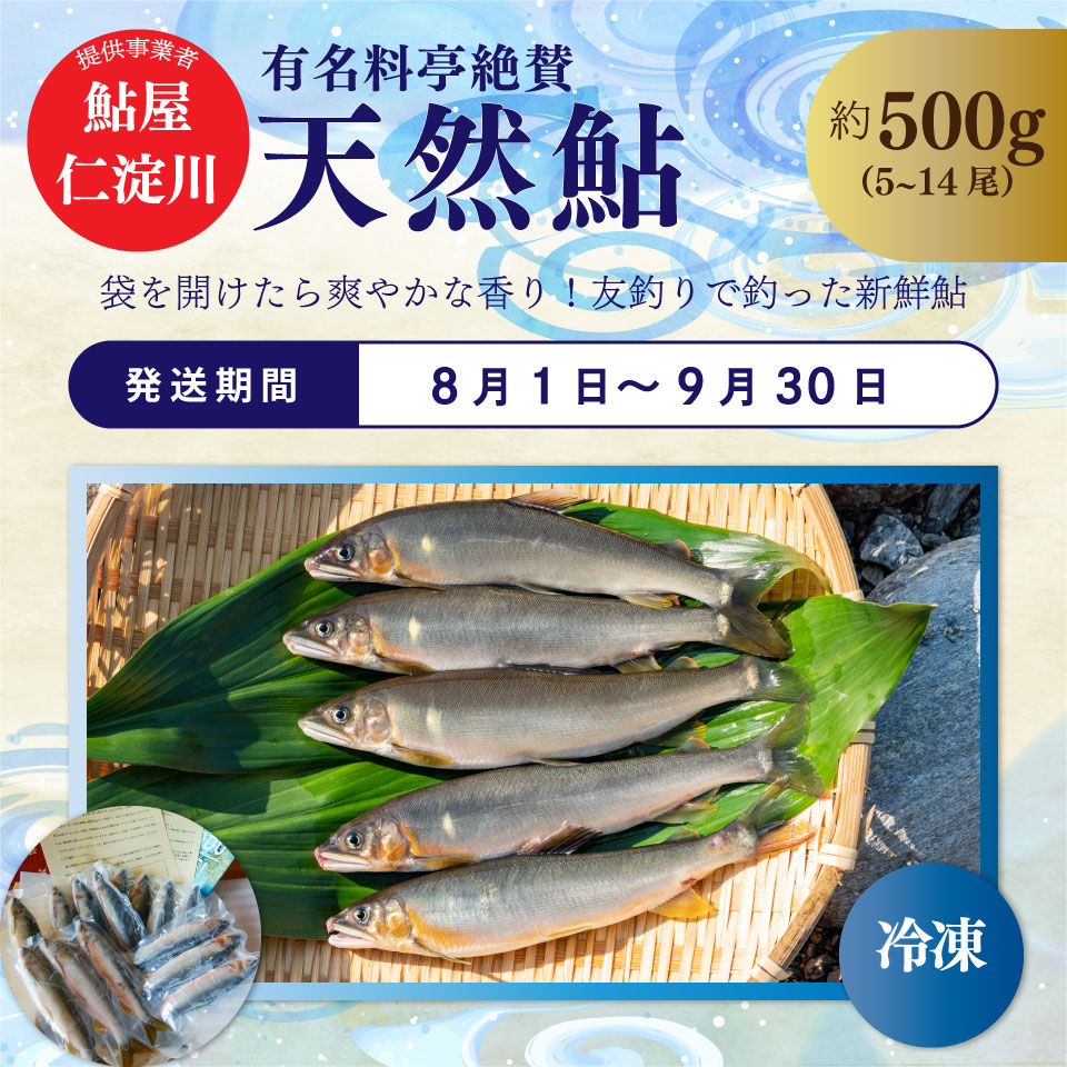 ＜年3回【さかわのお魚定期便（配送月：8月～11月）】うなぎ　かつおのタタキ　鮎＞鰹のタタキ 高知県 大正軒 鮎屋仁淀川 西村商店 かつおのたたき 鰻蒲焼き あゆ