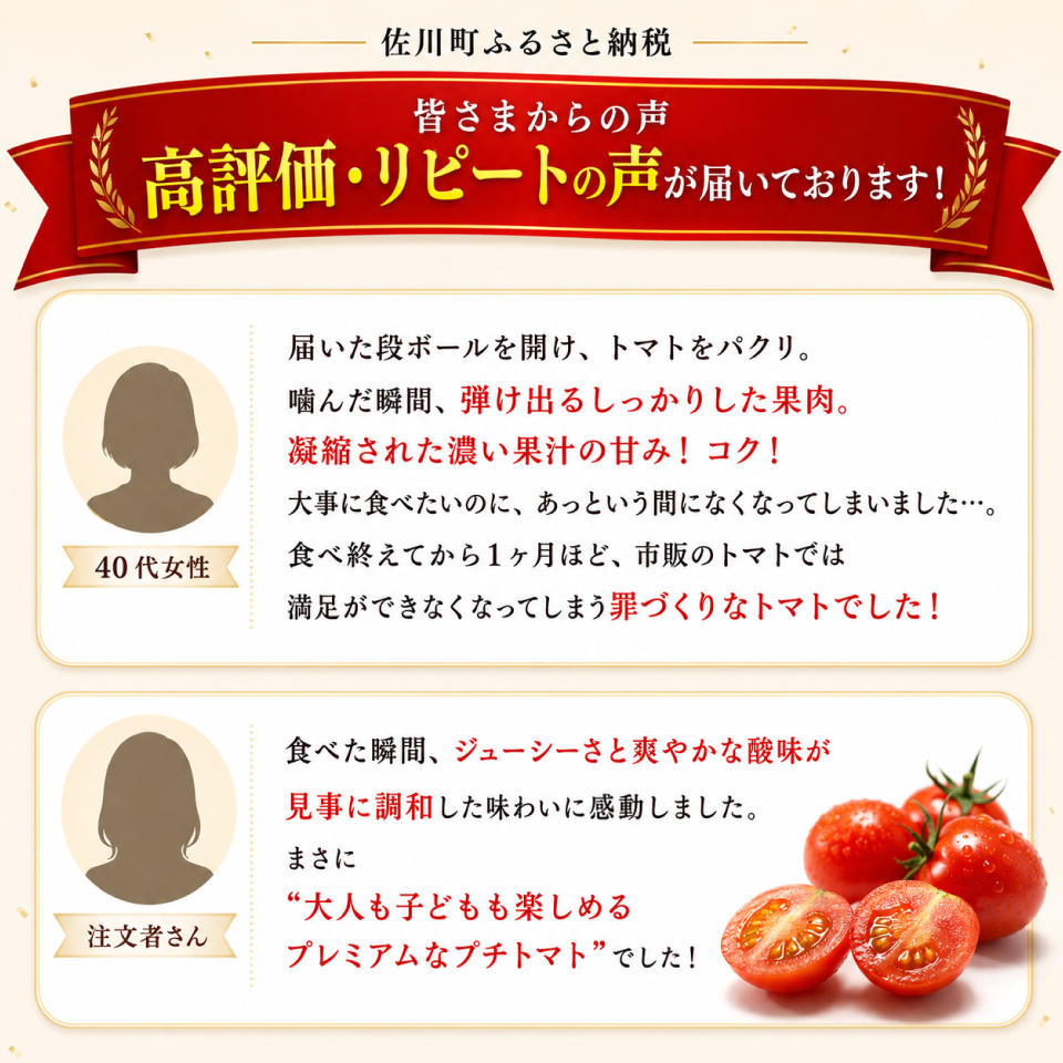 【2027年1月頃〜4月頃発送】＜約1.2kg×3回 定期便＞訳あり 規格外 フルティカ トマト ましまファーム ミニトマト フルーツトマト アイメック  ワケあり  *予約受付中*