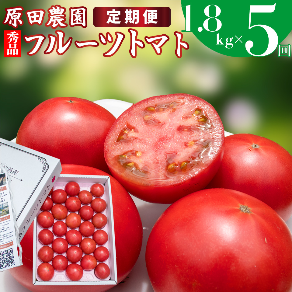 【5回定期便】フルーツトマト 原田農園 約1,800g 大箱（12月下旬～5月頃発送）＜2024年12月下旬頃より発送＞＜毎年12月上旬頃まで申込受付＞