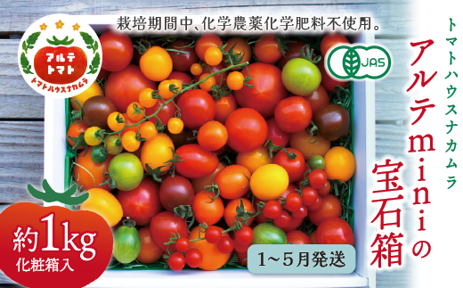 【2026年1月～5月頃発送】＜アルテminiの宝石箱 約1kg×1箱＞フルーツトマトトマトハウスナカムラ 栽培期間中化学農薬・化学肥料不使用