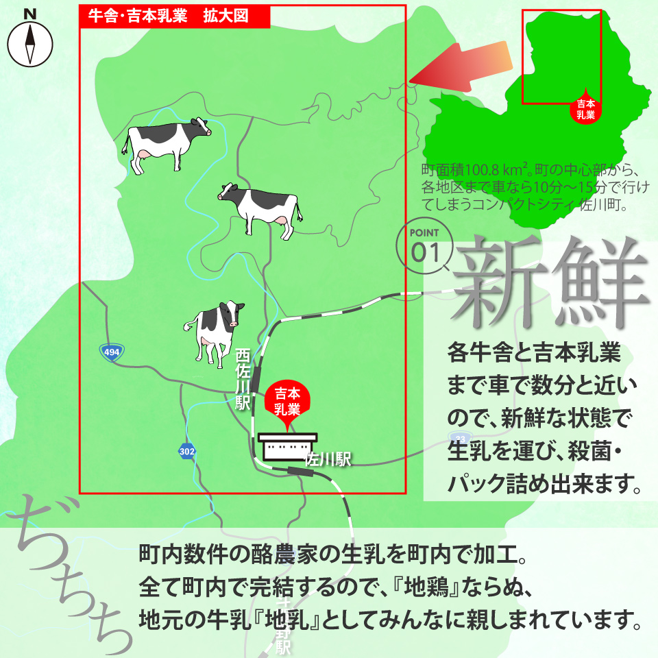 ＜（1年間定期便／52週連続発送）吉本牛乳（さかわの地乳）1L×6本 合計312本セット＞牛乳定期便 高知県 佐川町 成分無調整 ぢちち ★★本数・間隔の変更はできません★★