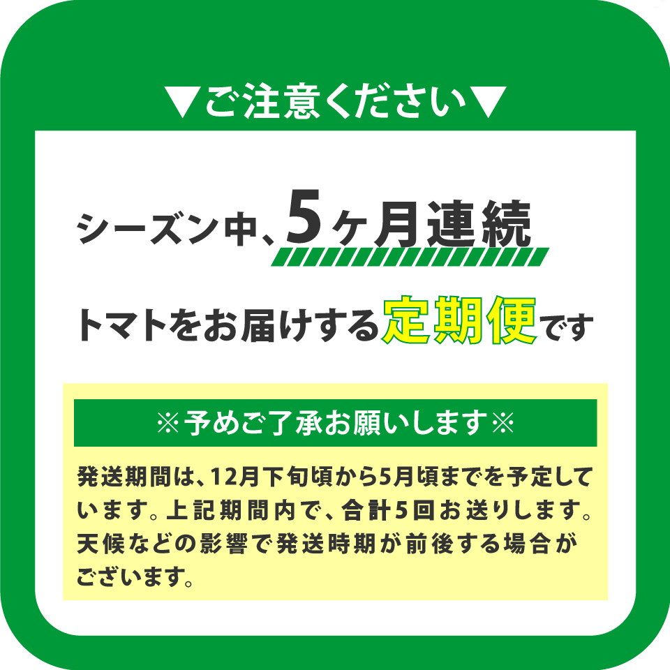 【5回定期便】 訳あり フルーツトマト 原田農園 1.8kg （12月下旬～5月頃発送）＜2024年12月下旬頃より発送＞＜毎年12月上旬頃まで申込受付＞