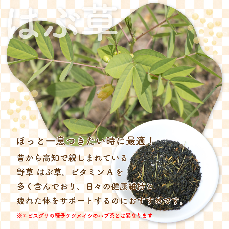 ＜はぶ茶・菊いも焙じ茶 各2袋＞　野草茶 2種 菊芋ほうじ茶 焙じ茶 イヌリン はぶ草茶 ハブソウ まきのさんのみち草茶 お茶パック入 高知 ご当地茶 カフェインレス ノンカフェイン ティー 山野草 牧野富太郎 無添加