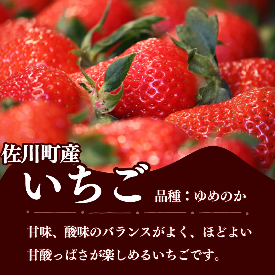 ＜佐川のフルーツ・野菜 定期便（全５回）＞　いちご 苺 冷凍ブルーベリー フルーツトマト 梨