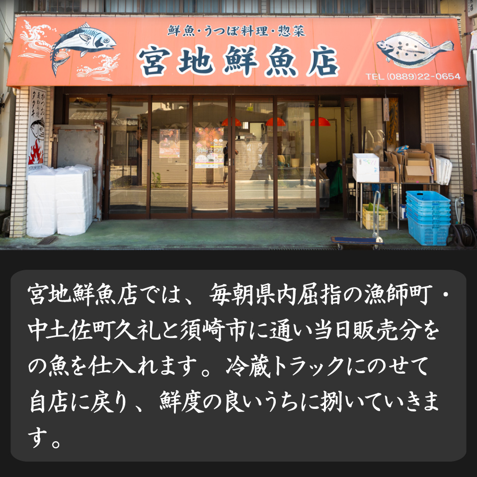 ＜5〜6ヶ月程度で発送＞【冷蔵】宮地鮮魚店 かつおのたたき 麦藁焼 （約600〜700g） 鰹 カツオ タタキ　※※配送できない地域があります※※