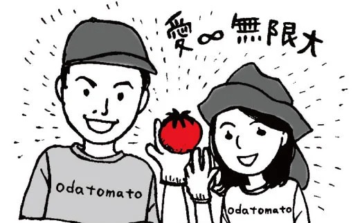 織田トマト フルーツトマト 約1kg 高知 真っ赤なフルーツ太陽