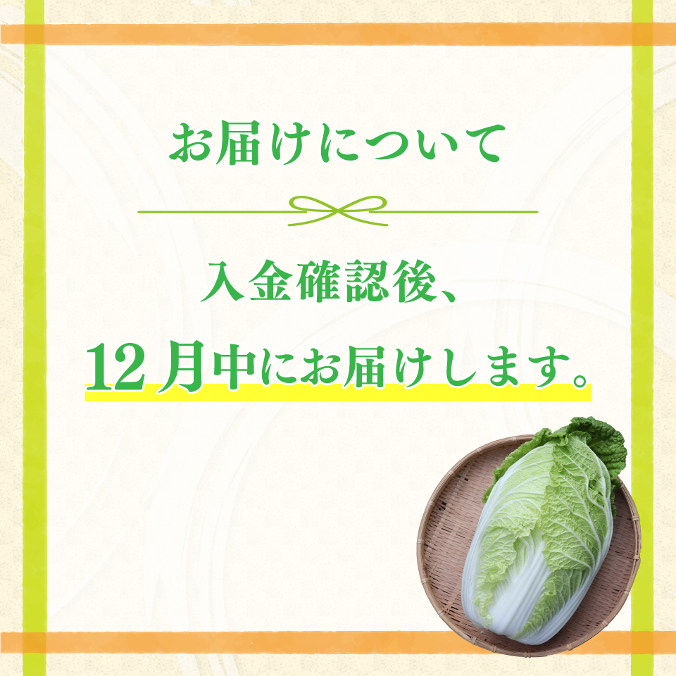 ＜佐川町産 白菜 2株（約6kg）＞ 無双 高知 新鮮 野菜 お鍋 シチュー ＜2025年12月中にお届け＞