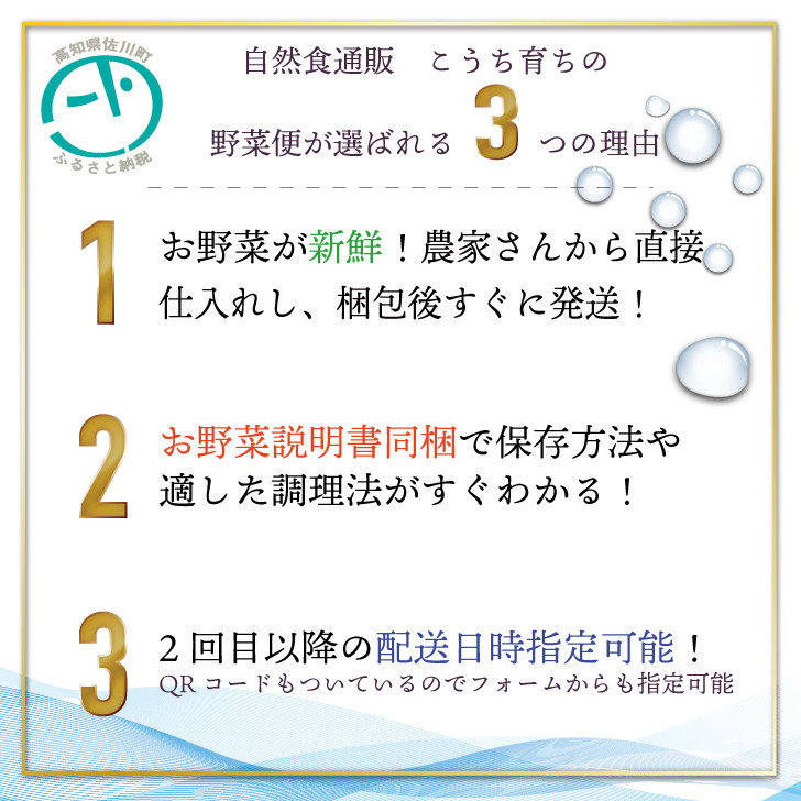 【年6回】高知から直送！旬の季節のお野菜定期便（7~9品）