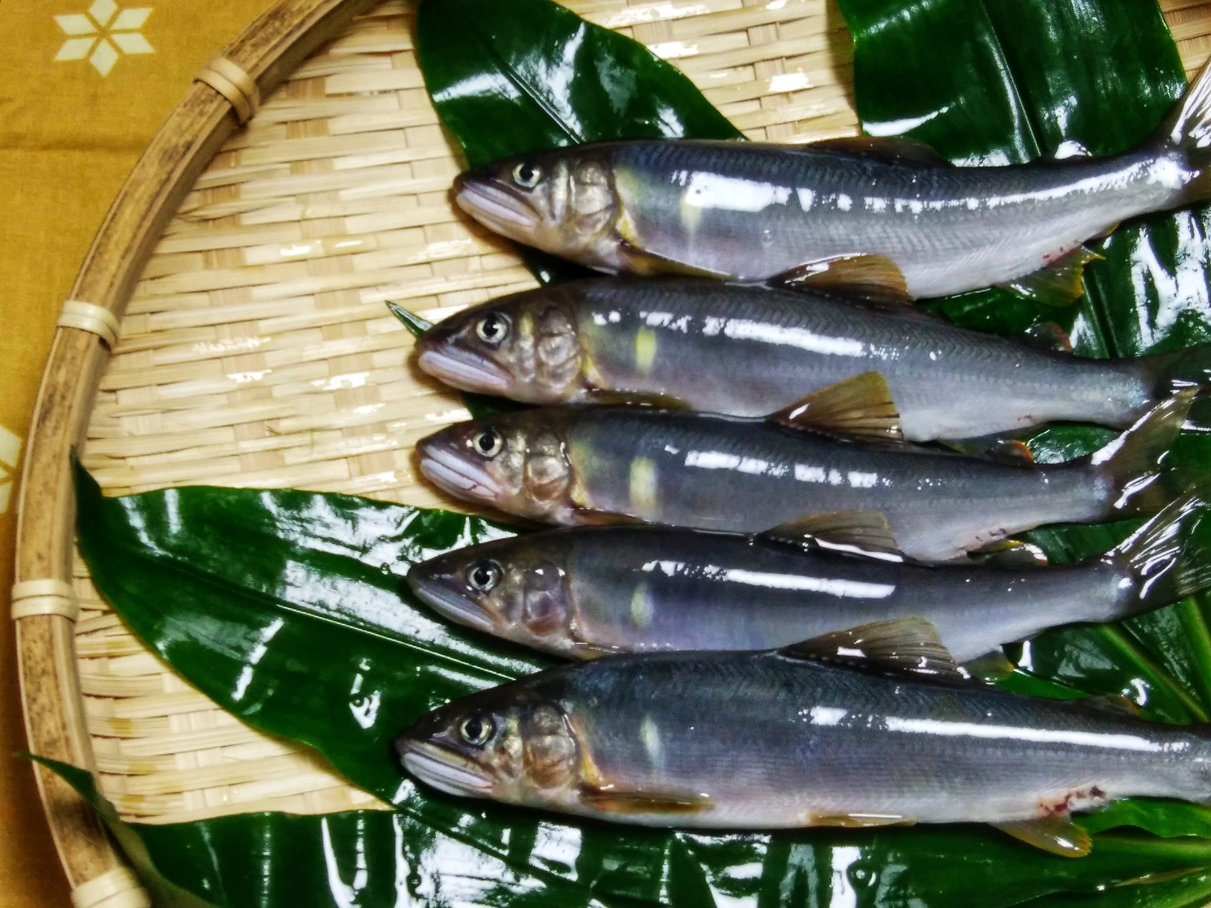 ã芪åã§é£ãäœéšã仿·å·ã§é®ã®åé£ãïŒã¬ã€ãä»ïŒå€§äººã»é«æ ¡ç以äžå1åïŒ