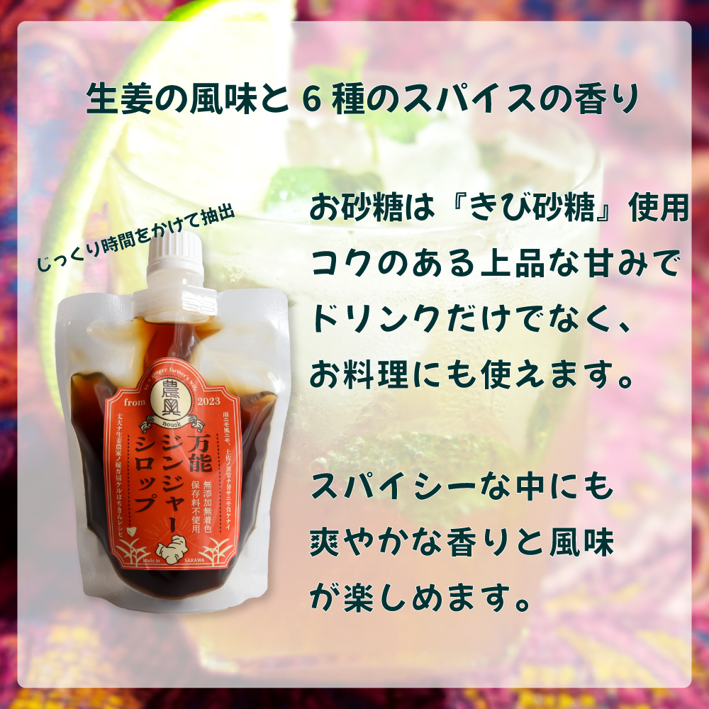【佃煮2袋・シロップ1個】農家の嫁の生姜佃煮1袋70g ジンジャーシロップ200ml クラフトジンジャー 希釈 ごはんのお供（A）