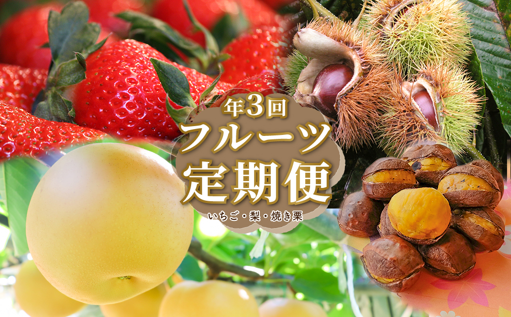 ＜フルーツ定期便（全３回）いちご 梨 焼き栗＞ fruit 苺 おすすめ 旬 果物 くだもの 高知県 佐川町産