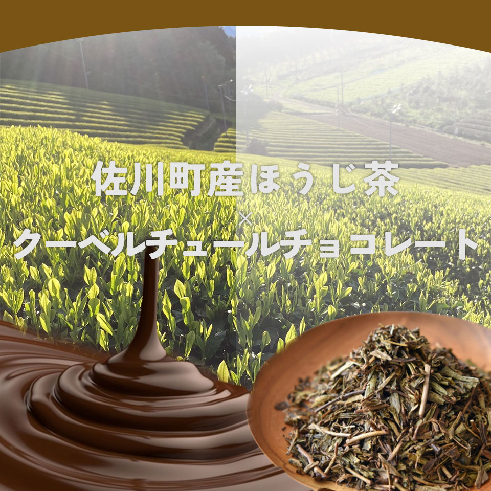 ïŒåçã·ã§ã³ã©ã±ãŒã ã»ããè¶ïŒçŒãèå ãè¶ ã®ãã ãã¬ãŒã³ã åç²§ç®±å
¥ ã°ã«ãã³ããªãŒ è·äººæäœã ããã£ã·ãš çè²æã»ä¿åæäžäœ¿çš