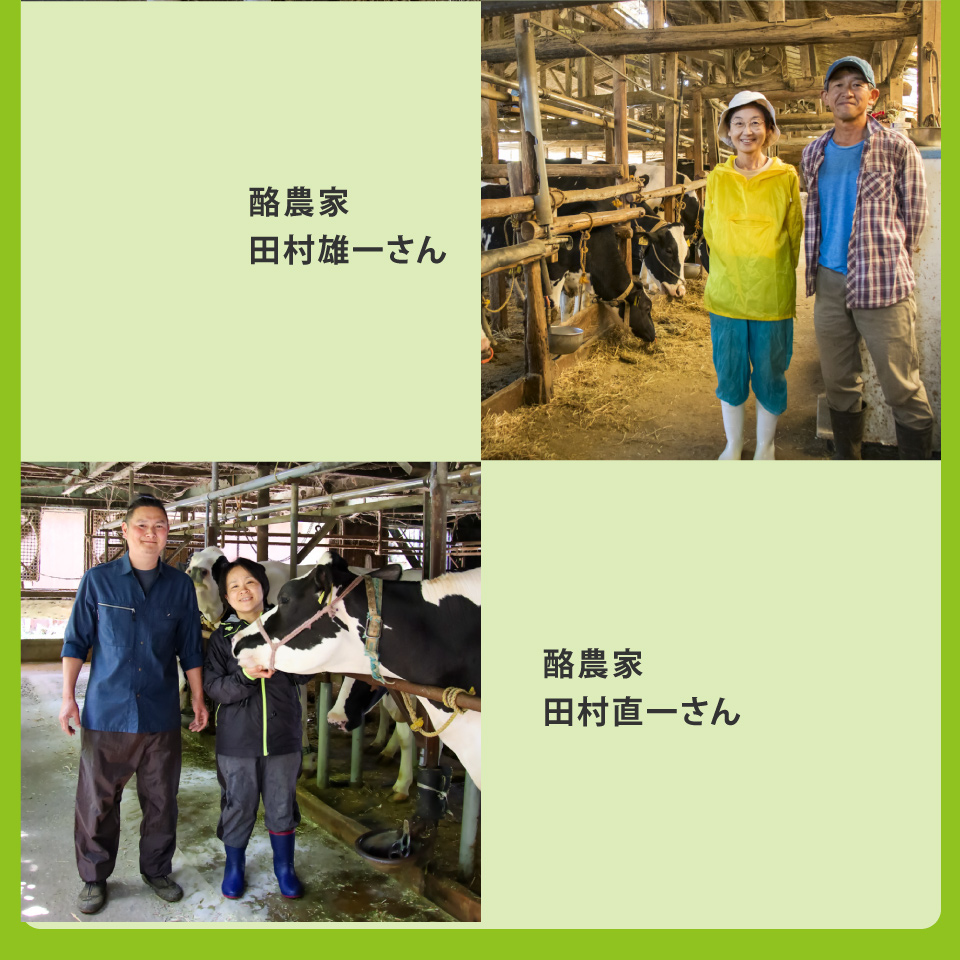 【計10回≪毎週お届け≫定期便】吉本牛乳（さかわの地乳）1L×60本セット ぢちち 地元の牛乳 NHKあさイチで紹介されました らんまん　★★本数・間隔の変更はできません★★