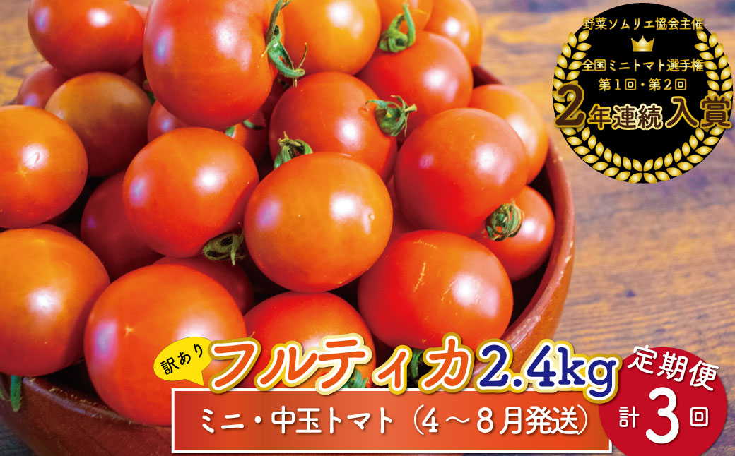 【4月〜8月頃発送】＜約2.4kg×3回 定期便＞訳あり アイメック フルティカ トマト＞ましまファーム ミニトマト フルーツトマト  ワケあり 規格外