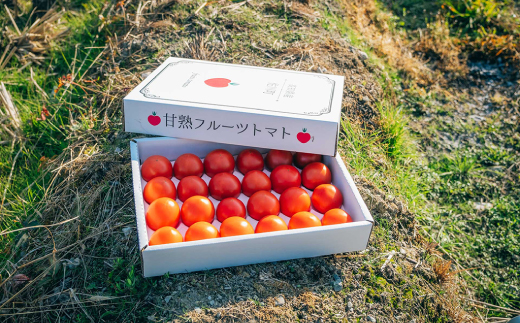 【先行予約】 フルーツトマト 原田農園 約1、800g（大箱）