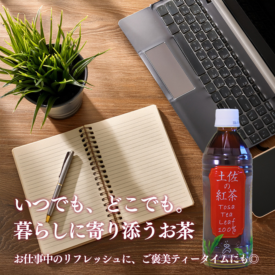 土佐の紅茶 無糖 500ml×24本 1ケース ペットボトル PET お茶 土佐茶 高知 JA高知県 佐川町産茶葉使用