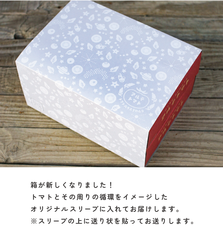 【1月～5月頃まで発送】＜アルテトマト 定期便 約1.6kg×3ヶ月連続＞フルーツトマト 合計4.8kg トマトハウスナカムラ 野菜 贈答用 栽培期間中化学農薬・化学肥料不使用