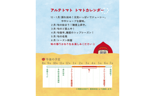 【1月～5月頃まで発送】＜アルテminiの宝石箱 約1kg×1箱＞フルーツトマトトマトハウスナカムラ 栽培期間中化学農薬・化学肥料不使用