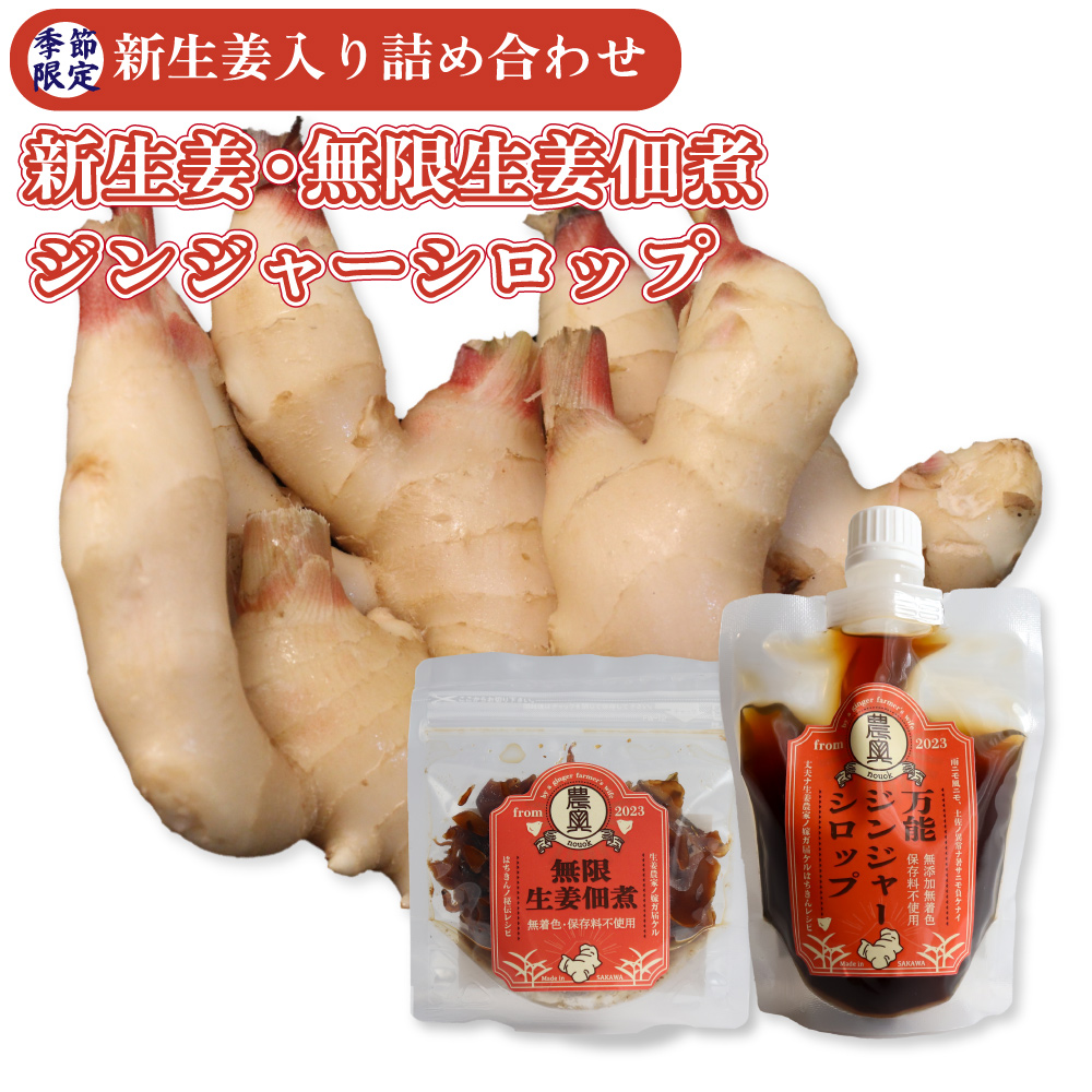 [土付き新生姜1kg・生姜佃煮1袋・ジンジャーシロップ1個][2026年11月下旬〜12月上旬ごろ発送予定] 農家の嫁の生姜佃煮1袋70g ジンジャーシロップ200ml クラフトジンジャー 掘りたて 土付き 新ショウガ 1kg ごはんのお供 農奥 高知 詰合せ(C)