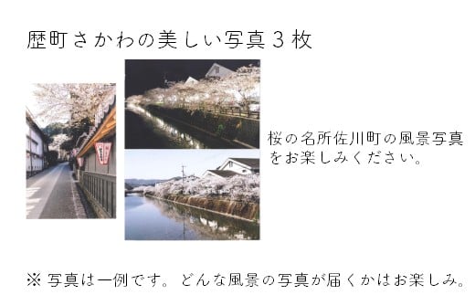 蜿、縺崎憶縺肴枚蛹悶→驟定鳩縺ョ縺ゅk陦嶺クヲ縺ソ繝サ豁エ逕コ縺輔°繧上縺イ縺ョ縺阪そ繝繝