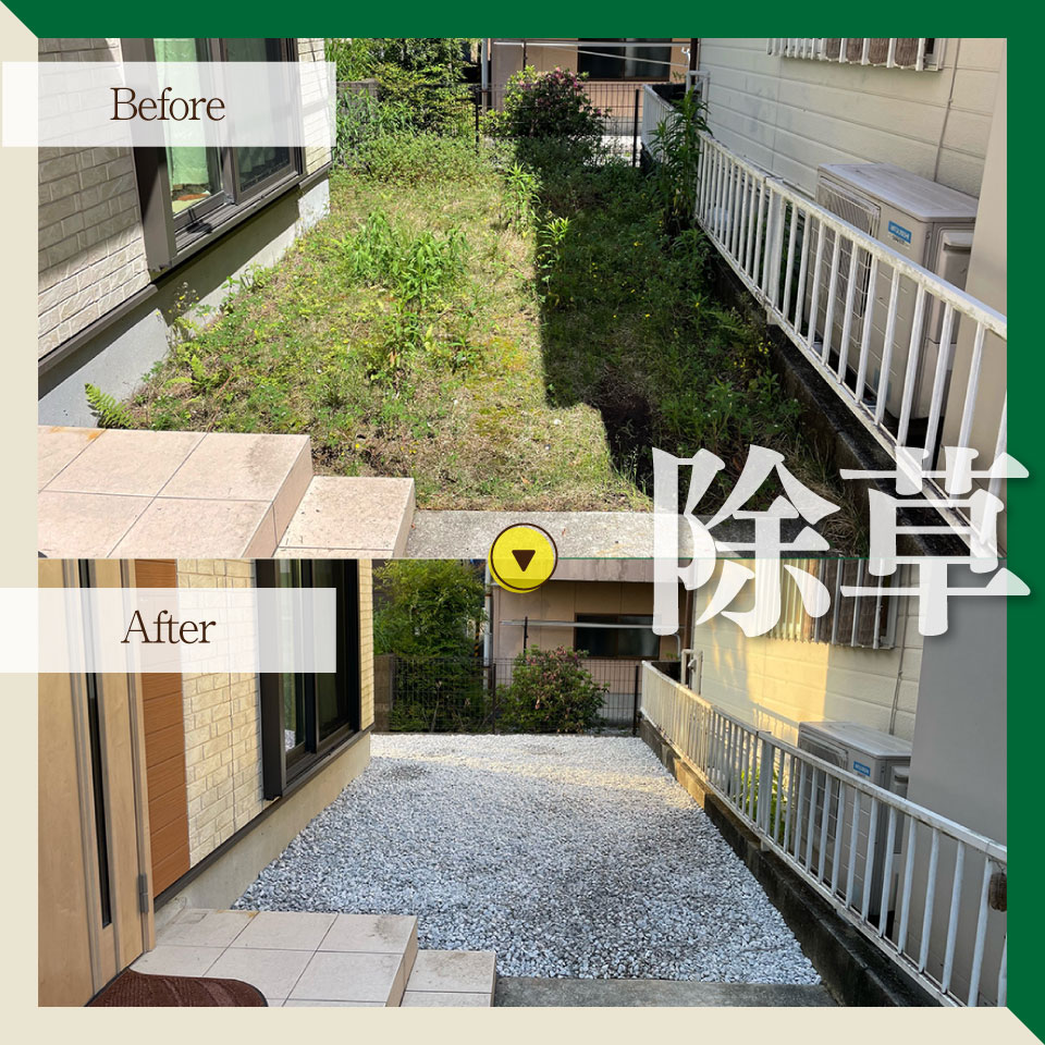 【庭のお手入れ　剪定・伐採・除草】庭づくり 庭木 植木 創樹園 管理 施工 サービス 作業場は佐川町限定 実家が佐川町にある方におすすめ