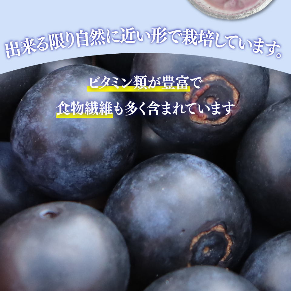 ＜ブルーベリー（冷凍） 2.45kg＞高知県 佐川町 果物 フルーツ 国産 冷凍ブルーベリー 常備果物