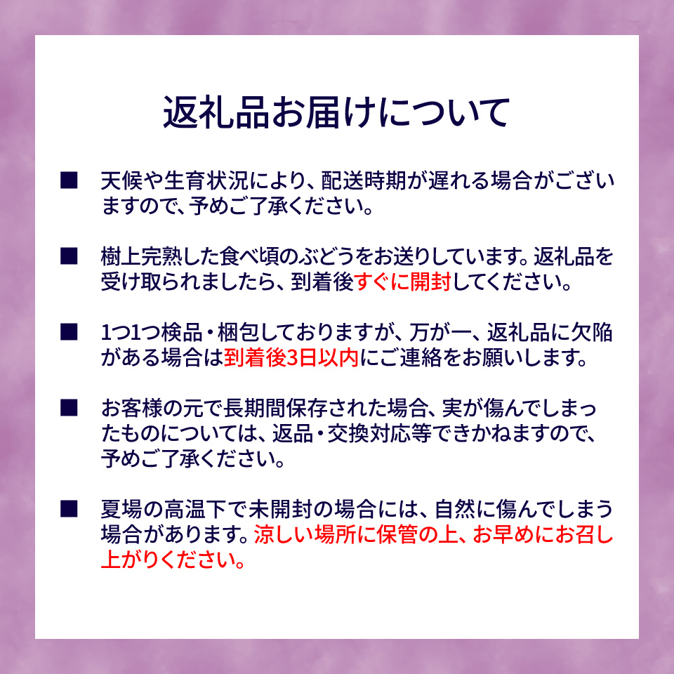 ＜藤稔 約1.2kg（1～2房）＞先行予約 ぶどう grape fruit 藤みのり フレッシュ 旬 果物 くだもの 高知県 佐川町産＜2025年8月上旬以降に発送＞