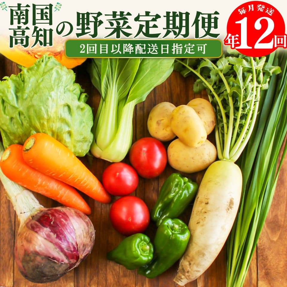 【年12回】高知から直送！旬の季節のお野菜定期便（7~9品）
