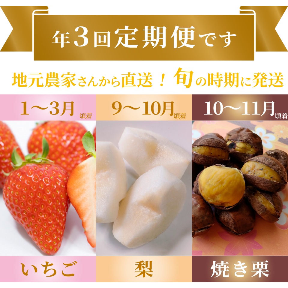 ＜フルーツ定期便（全３回）いちご 梨 焼き栗＞ fruit 苺 おすすめ 旬 果物 くだもの 高知県 佐川町産