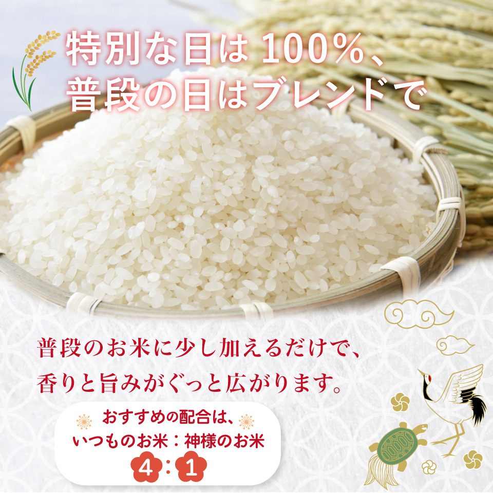 ＜薫る神様のお米 奉納米 縁起米 約3合×1袋＞希少米 香り米 奇跡の復活 ふさなり 栽培期間中、化学農薬化学肥料不使用